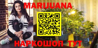 PSILOCYBIN Заволжье