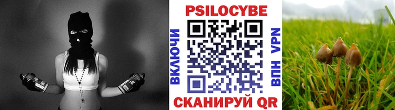 МЕГА рабочий сайт  Заинск  Псилоцибиновые грибы Cubensis  купить наркоту 