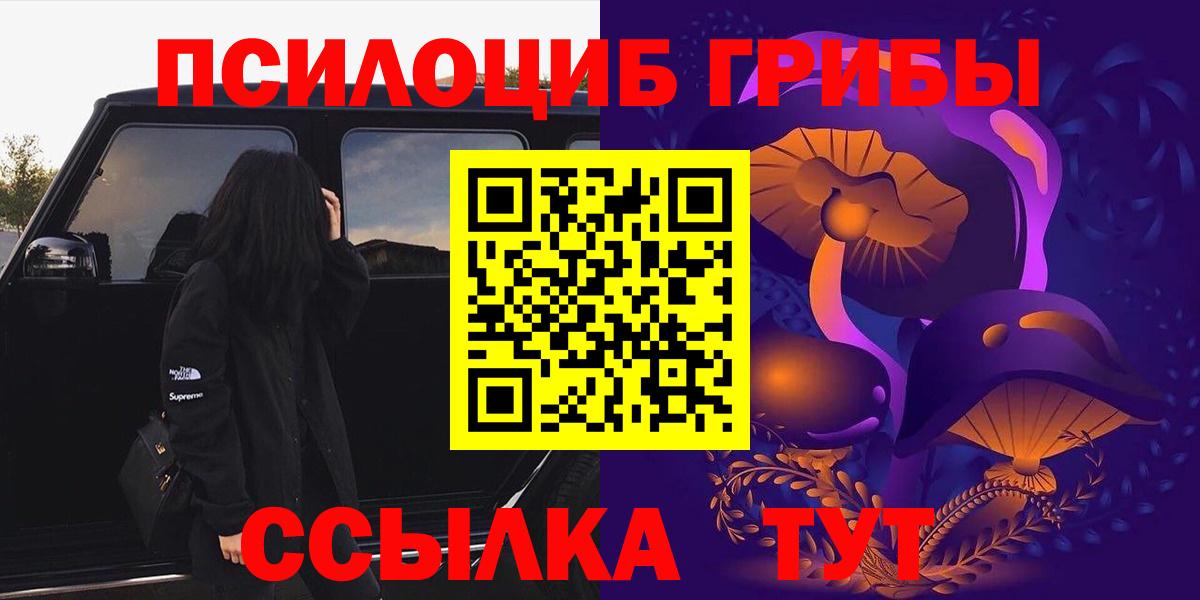 Псилоцибиновые грибы Psilocybine cubensis Заинск